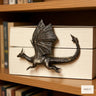 Flying Bronze Dragon Book Accent