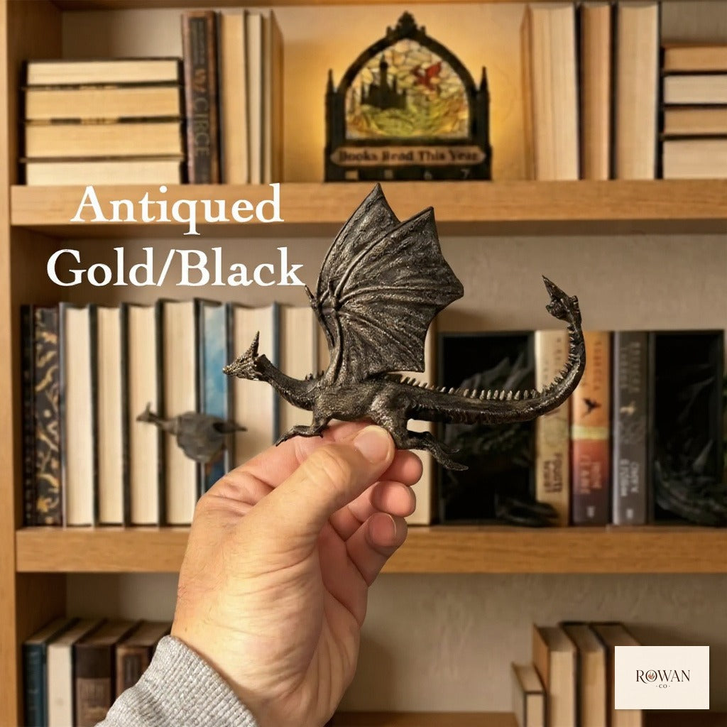 Flying Bronze Dragon Book Accent