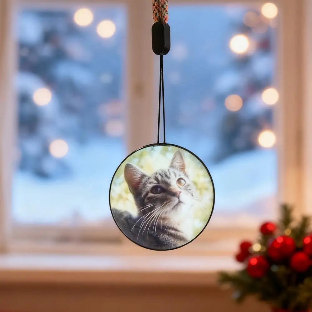 Video orb playing a cat photo, shown hanging in a window